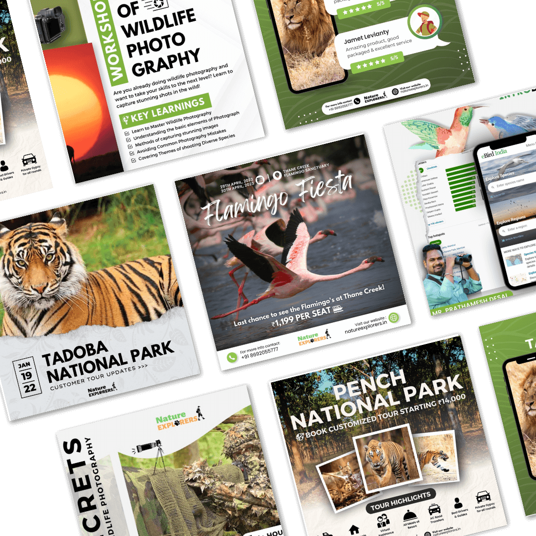 Nature Explorers India | @natureexplorersindia | Work by Smit Shah - Digital Marketing Freelancer in Mumbai